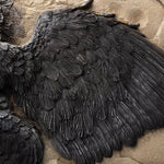 Load image into Gallery viewer, REPLICA Archaeopteryx lithographica Artist Interpretation
