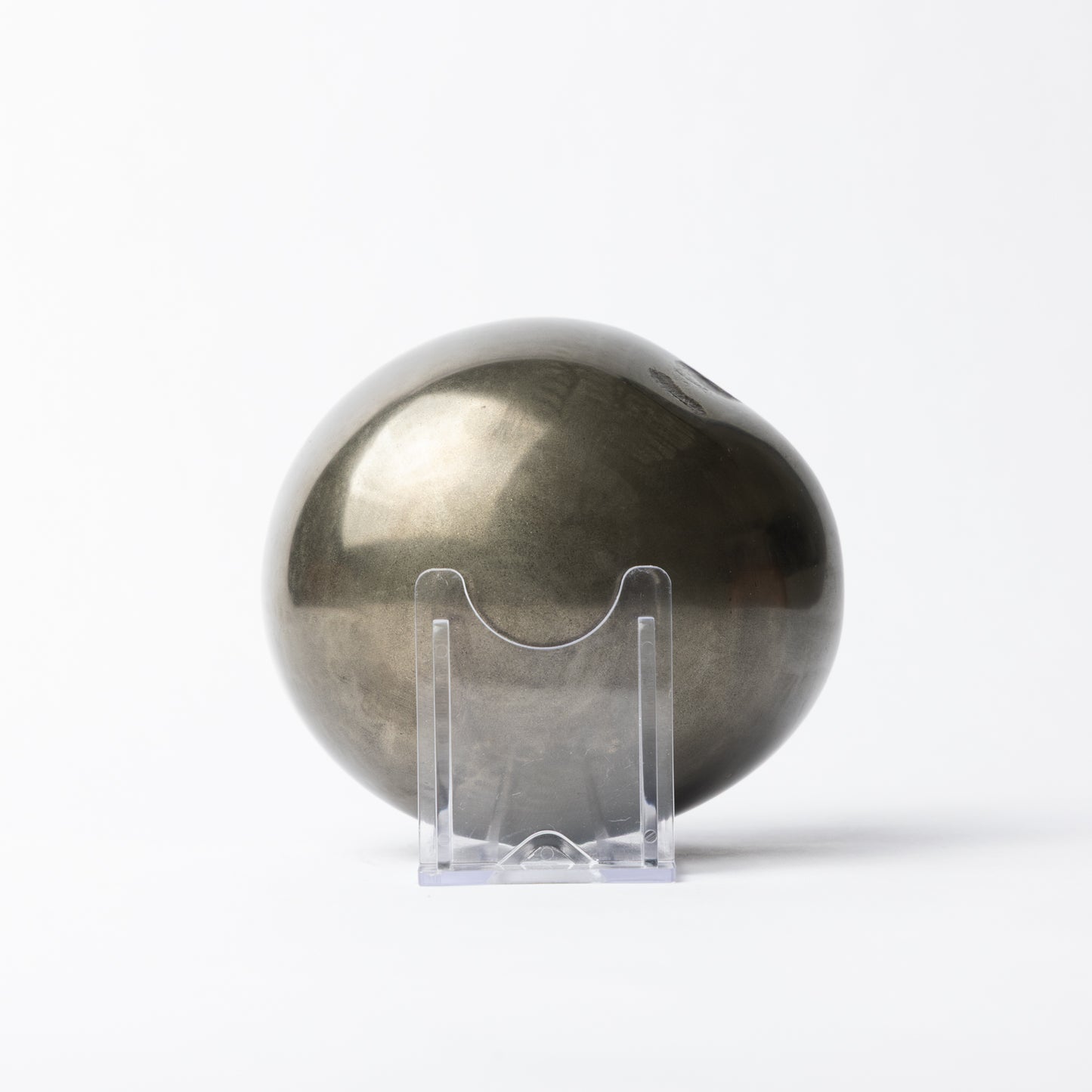 Eleganticeras sp. polished "Canonball"