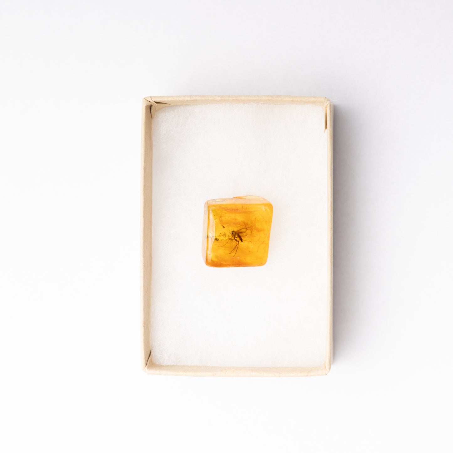 Baltic Amber with Mosquito Inclusion