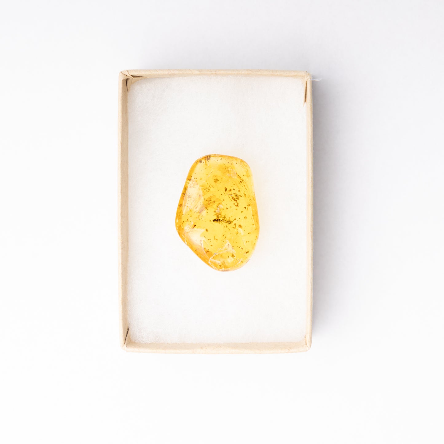 Baltic Amber with Ant Inclusion
