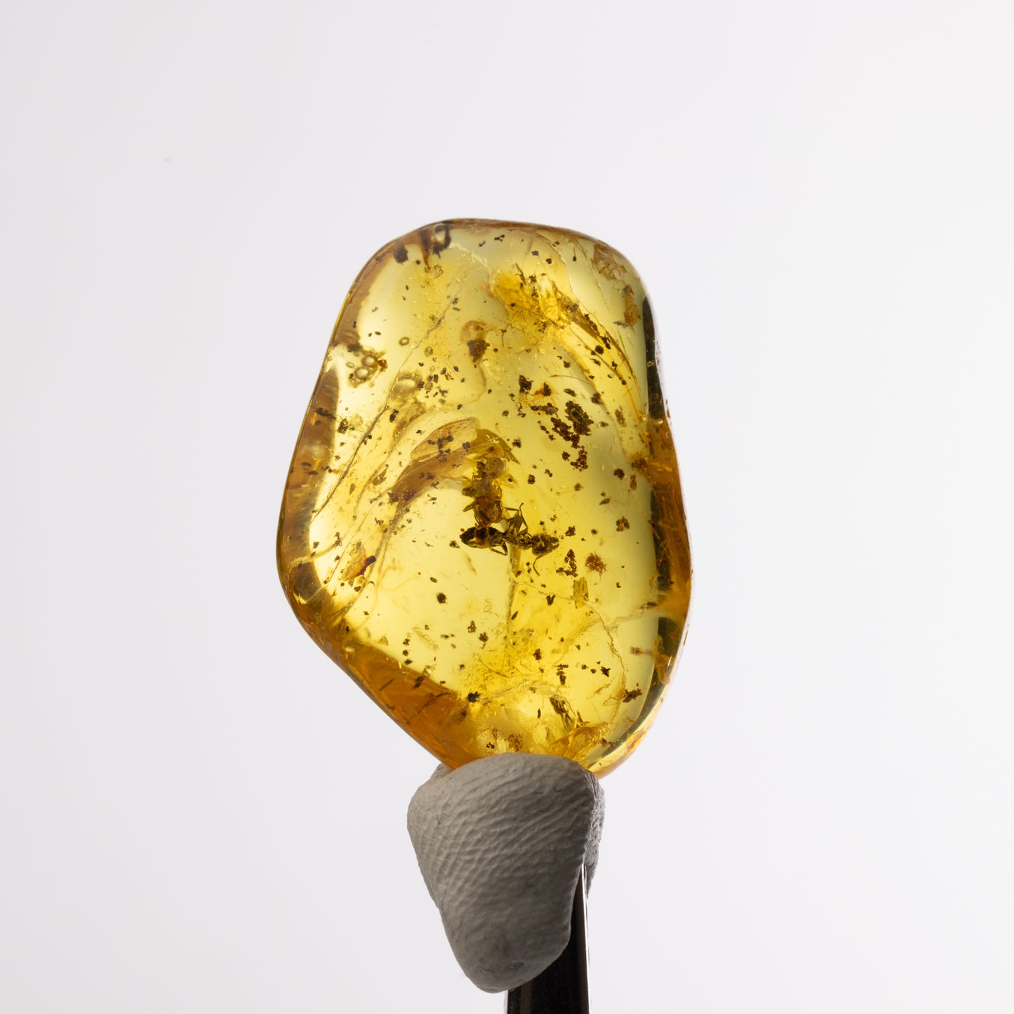 Baltic Amber with Ant Inclusion