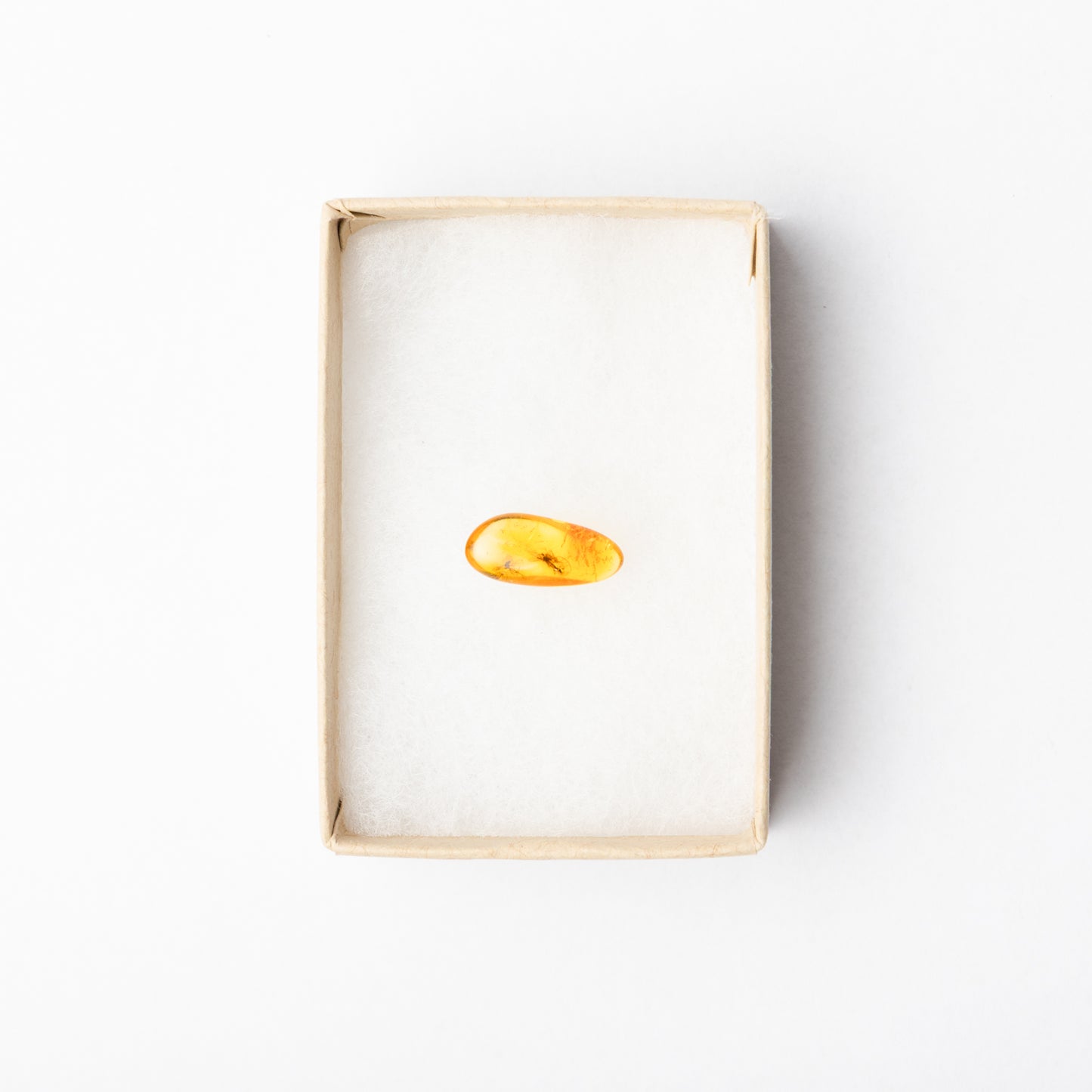 Baltic Amber with Insect Inclusion