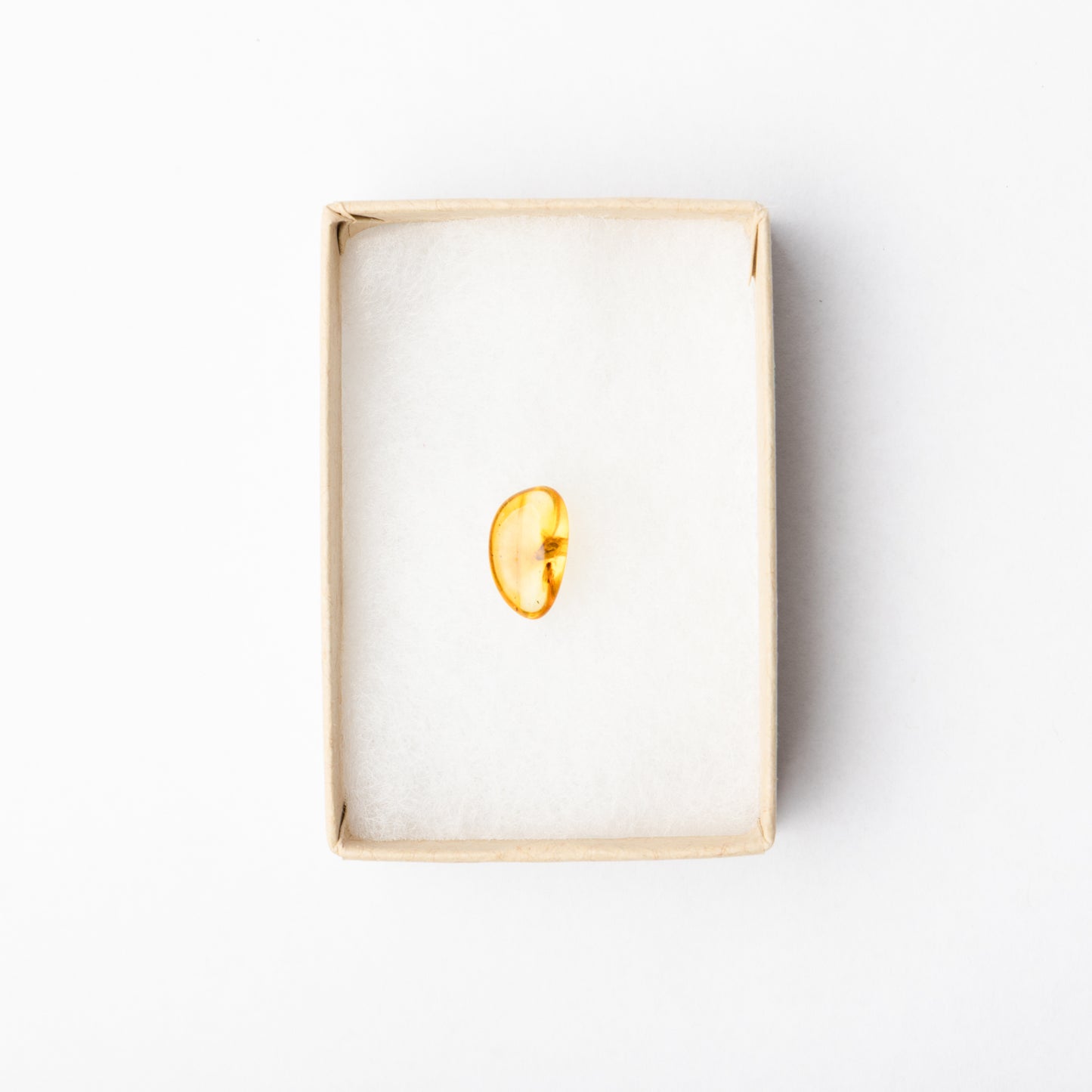 Baltic Amber with Insect Inclusion