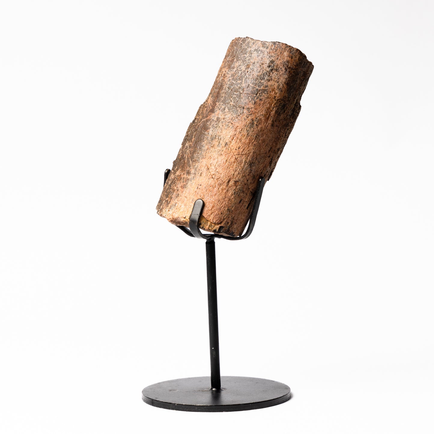 Allosaurus Metatarsal Bone on Stand (Partial)