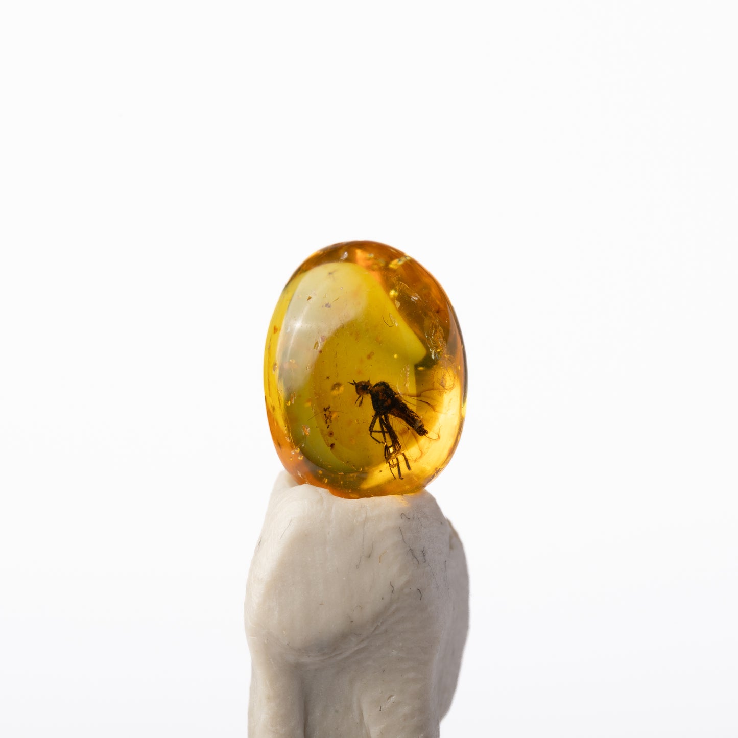 Baltic Amber with Insect Inclusion