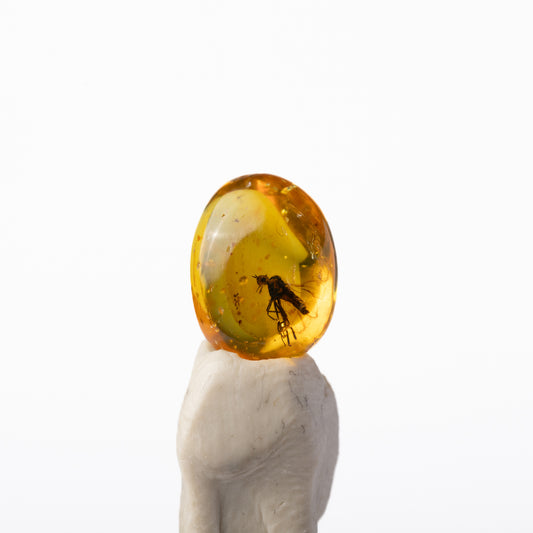 Baltic Amber with Insect Inclusion