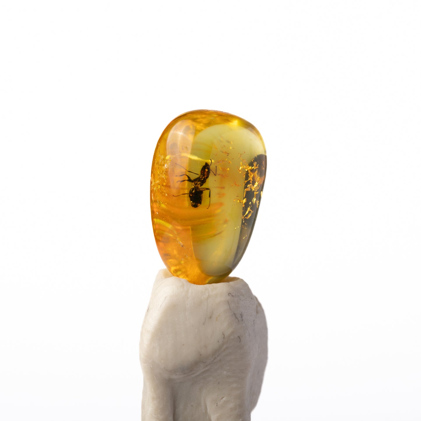 Baltic Amber with Insect Inclusion