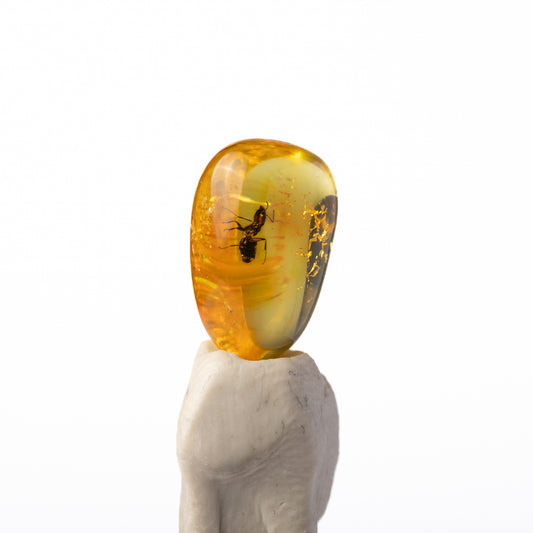 Baltic Amber with Insect Inclusion