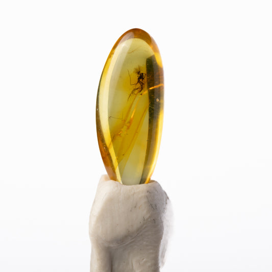 Baltic Amber with Insect Inclusion