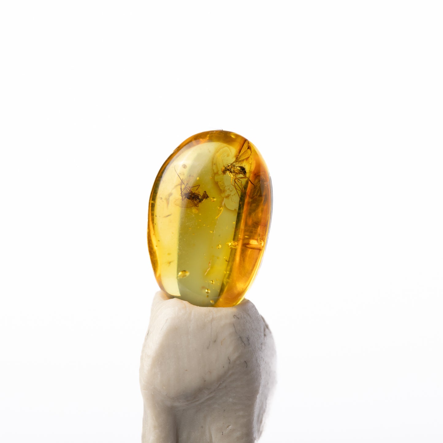 Baltic Amber with Insect Inclusion