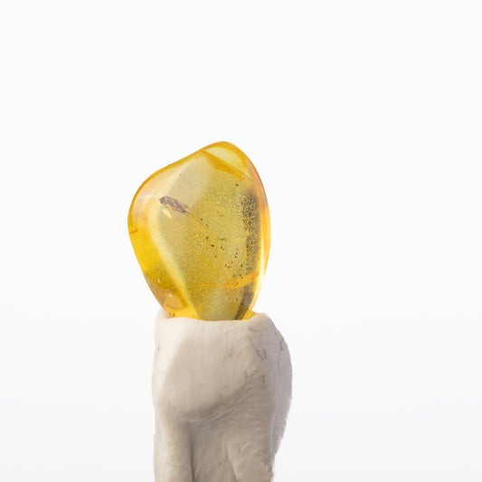 Baltic Amber with Insect Inclusion