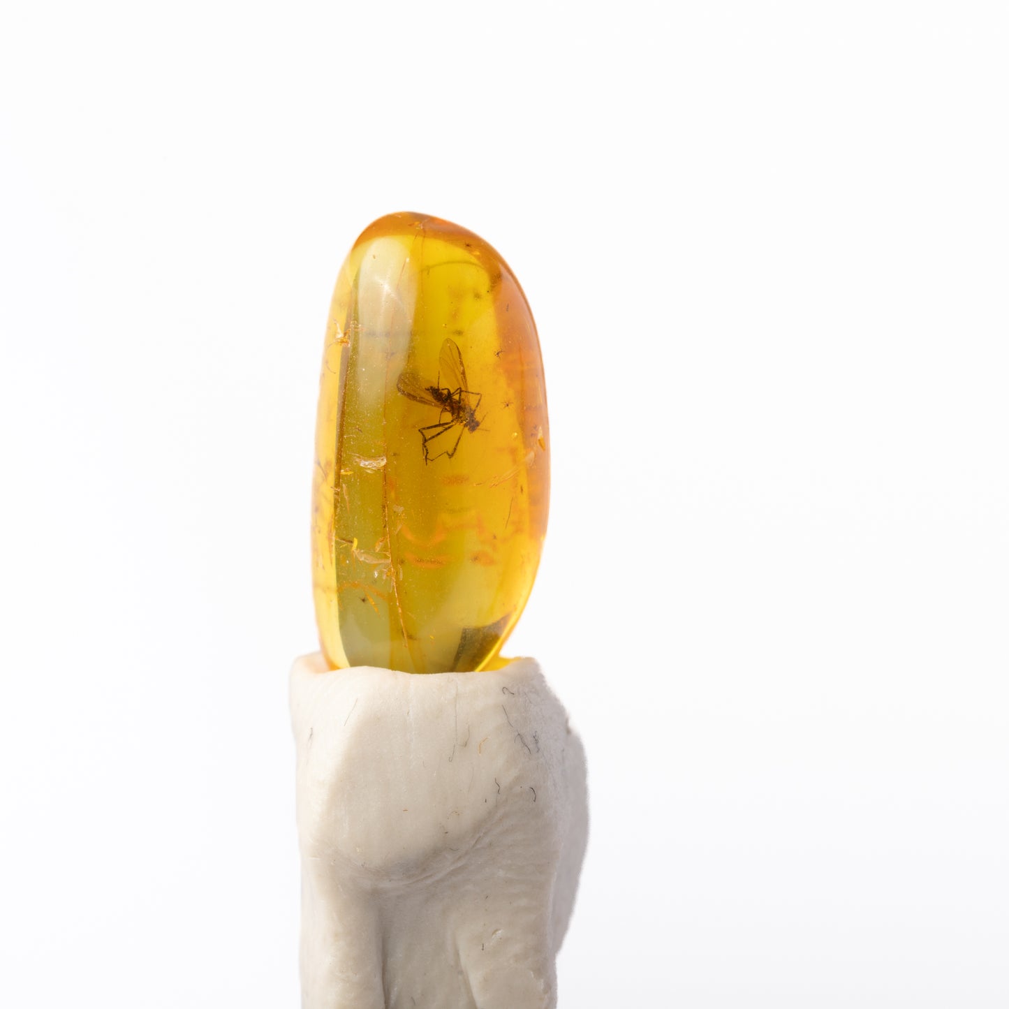 Baltic Amber with Insect Inclusion