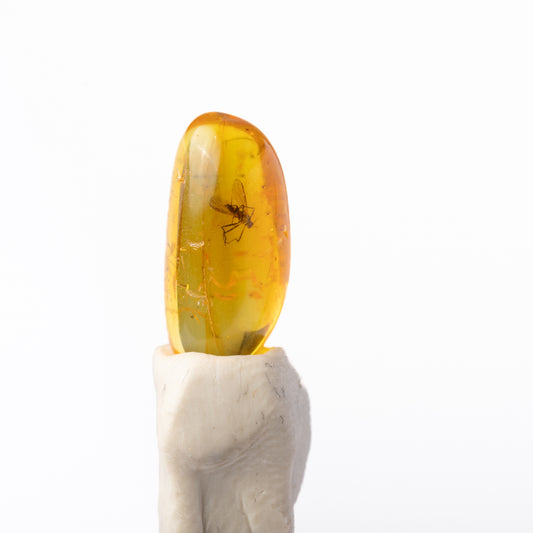 Baltic Amber with Insect Inclusion