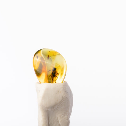 Baltic Amber with Insect Inclusion