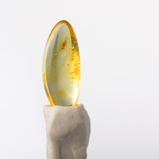 Baltic Amber with Insect Inclusion