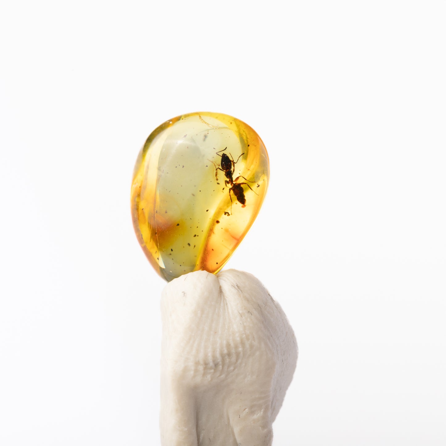 Baltic Amber with Insect Inclusion