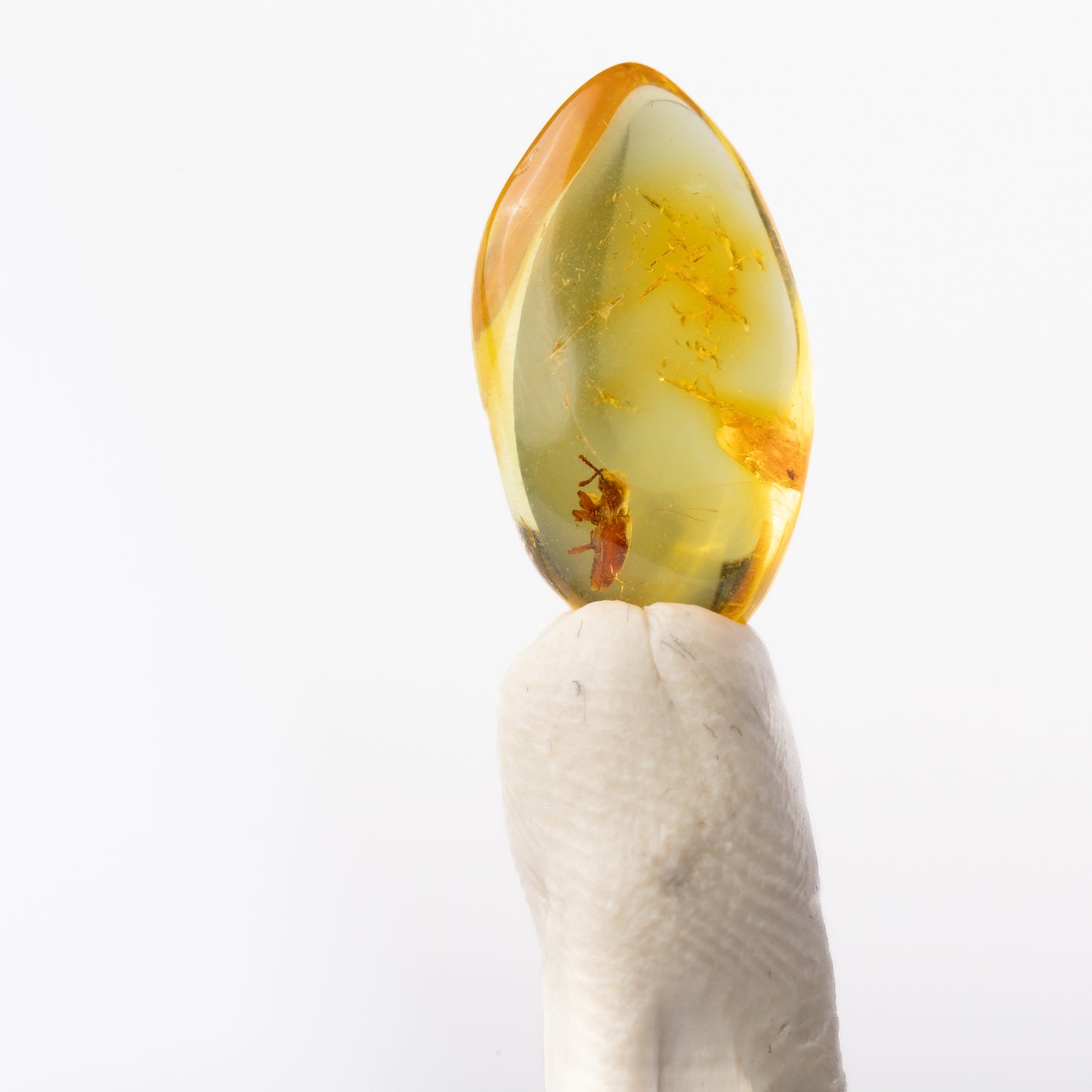 Baltic Amber with Insect Inclusion