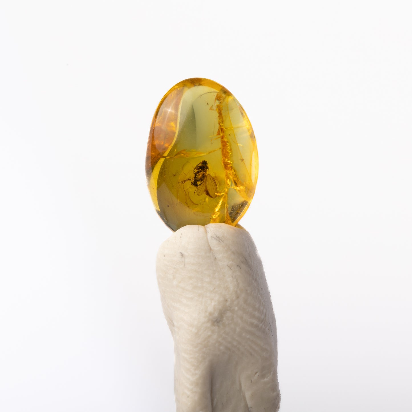 Baltic Amber with Insect Inclusion