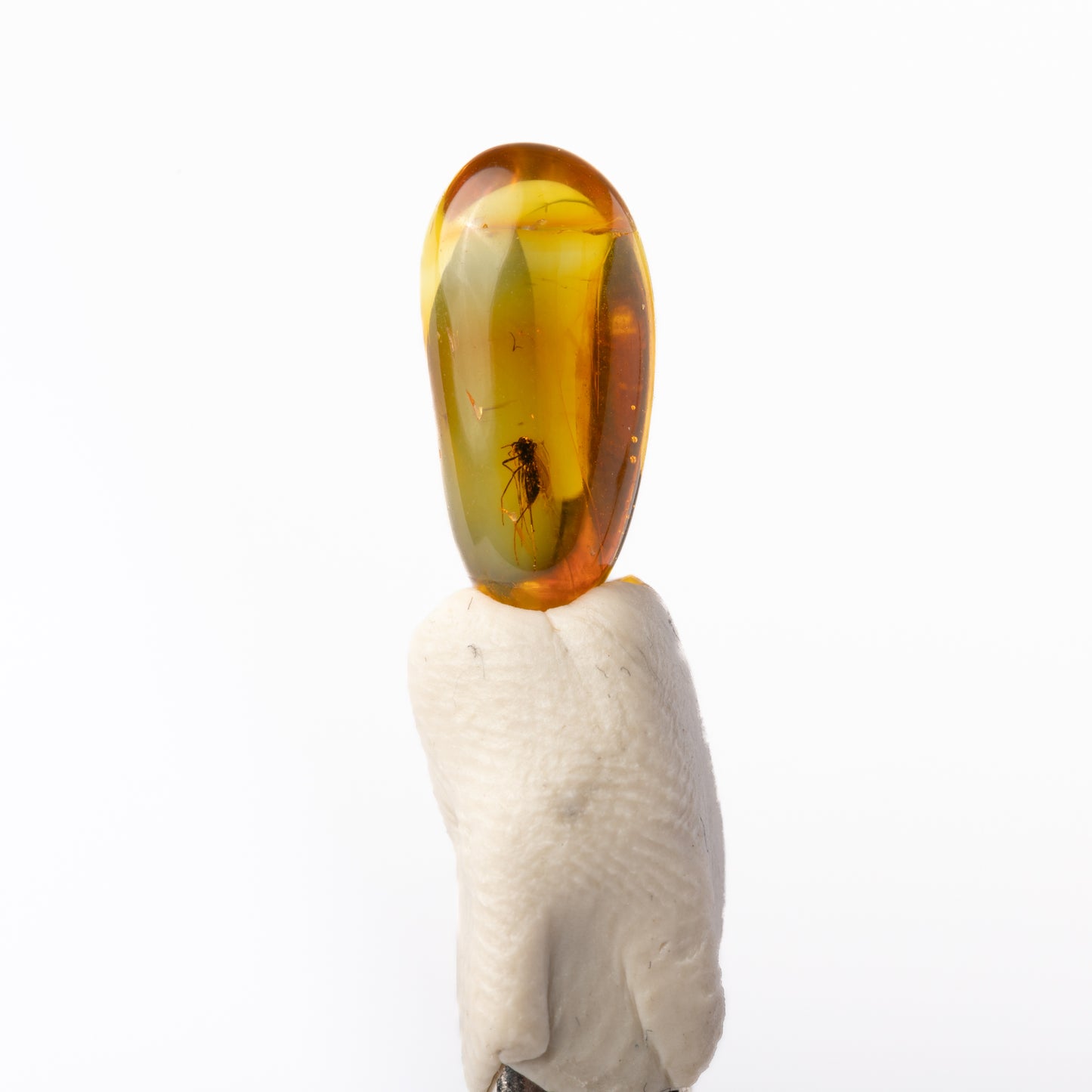 Baltic Amber with Insect Inclusion