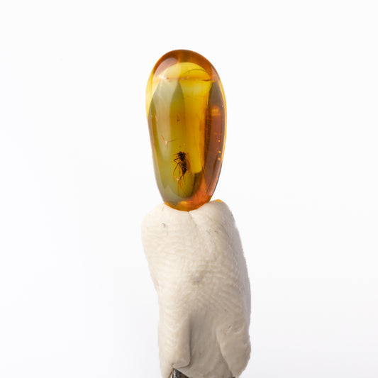 Baltic Amber with Insect Inclusion