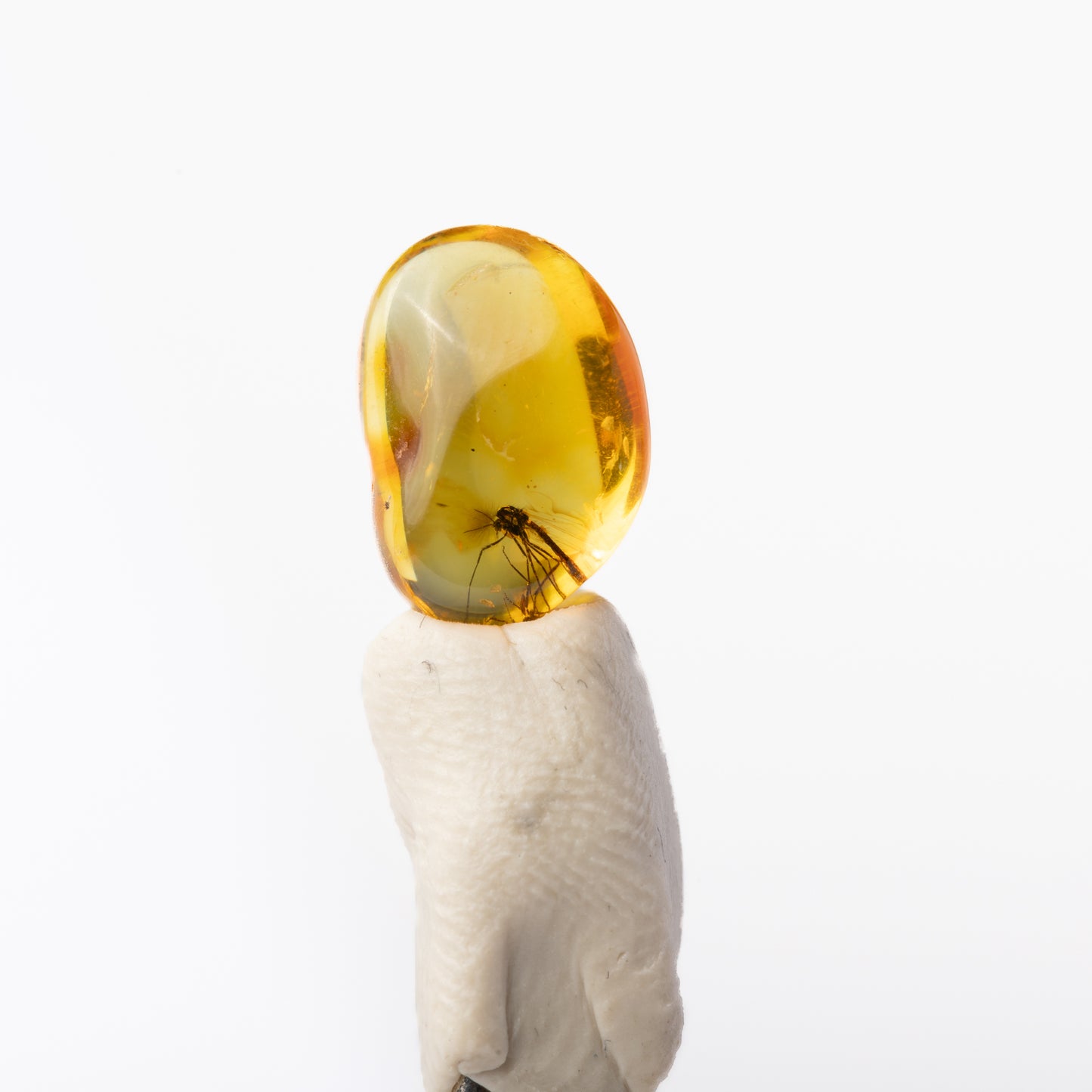 Baltic Amber with Insect Inclusion