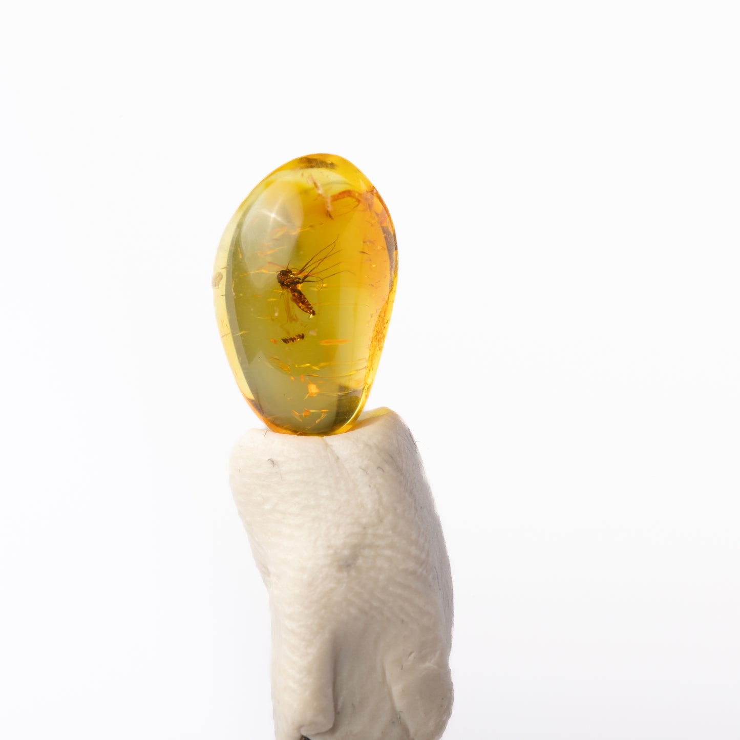 Baltic Amber with Insect Inclusion