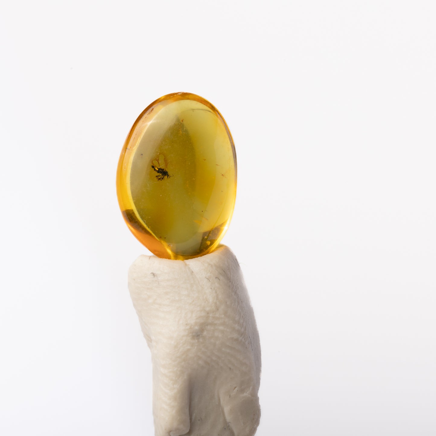 Baltic Amber with Insect Inclusion