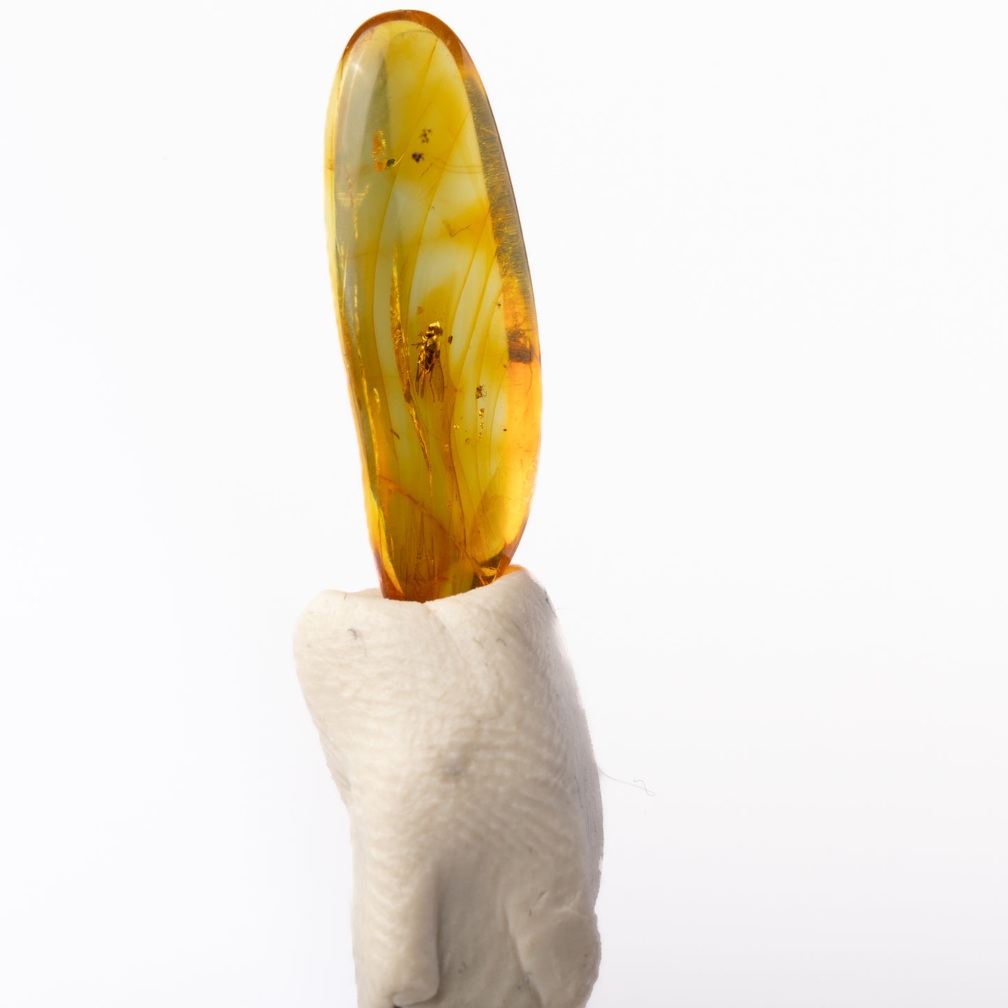 Baltic Amber with Insect Inclusion