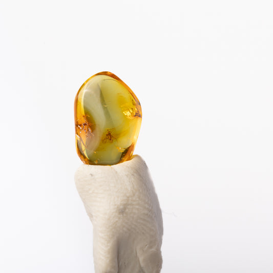 Baltic Amber with Insect Inclusion