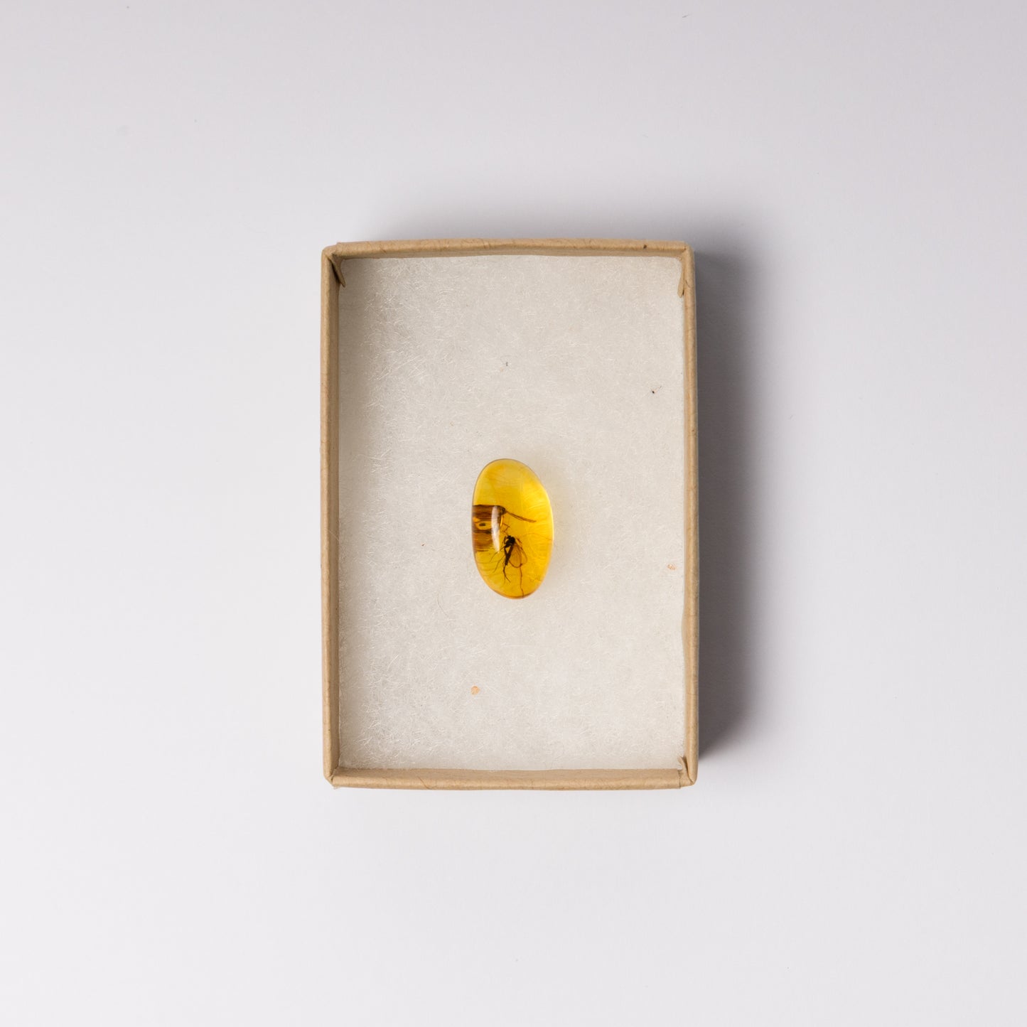 Baltic Amber with Winged Insect Inclusions