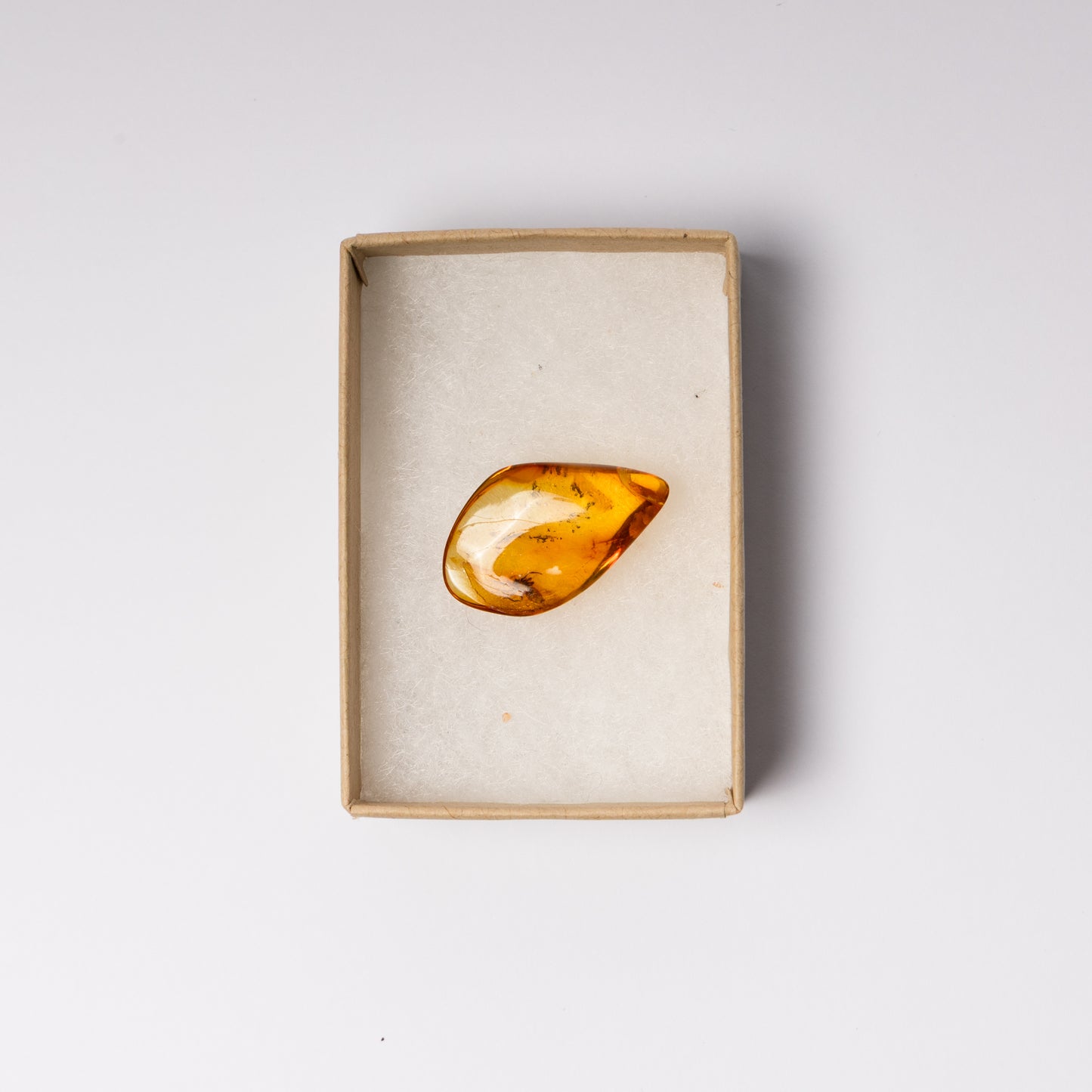 Baltic Amber with Spider Inclusion