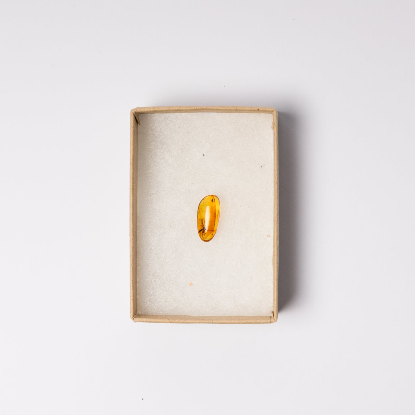 Baltic Amber with Insect Inclusion