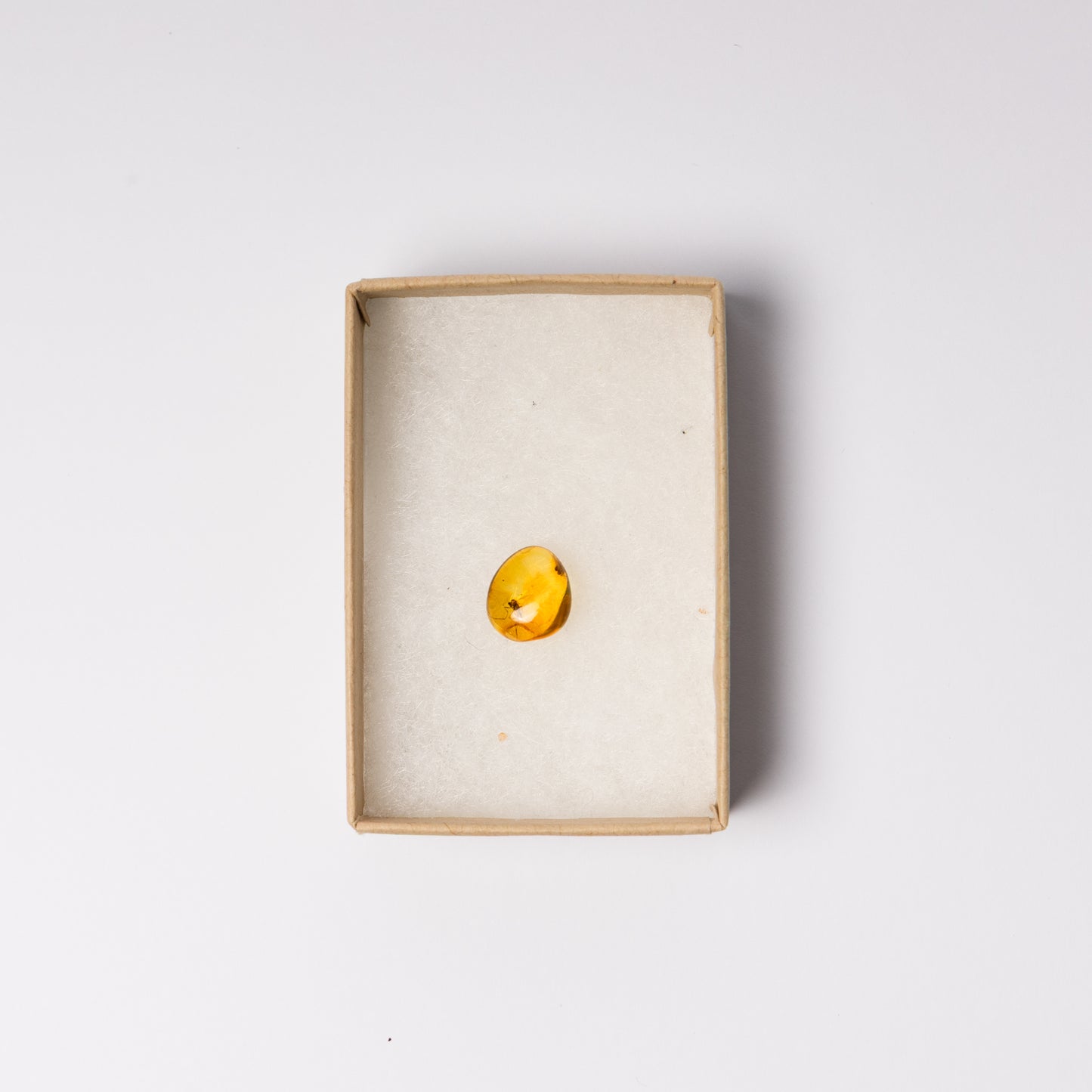 Baltic Amber with Insect Inclusion