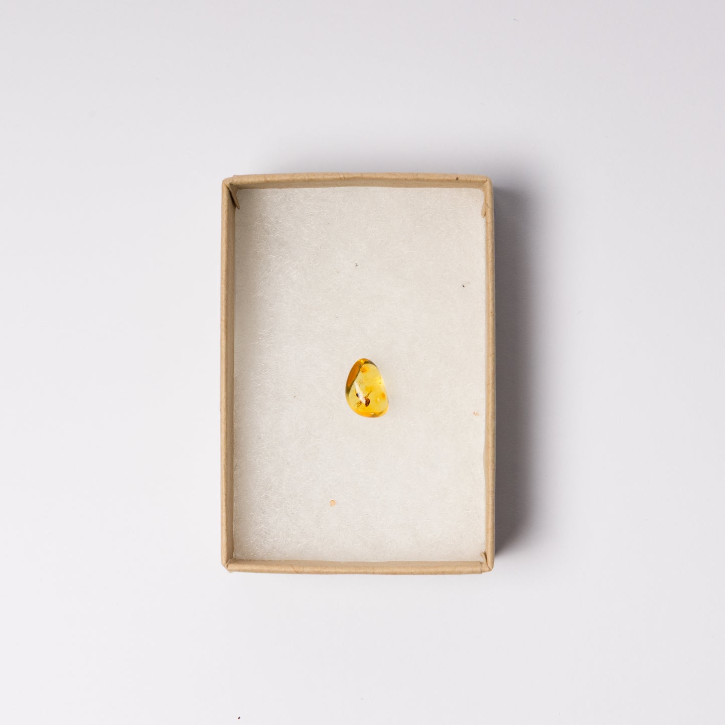 Baltic Amber with Insect Inclusion