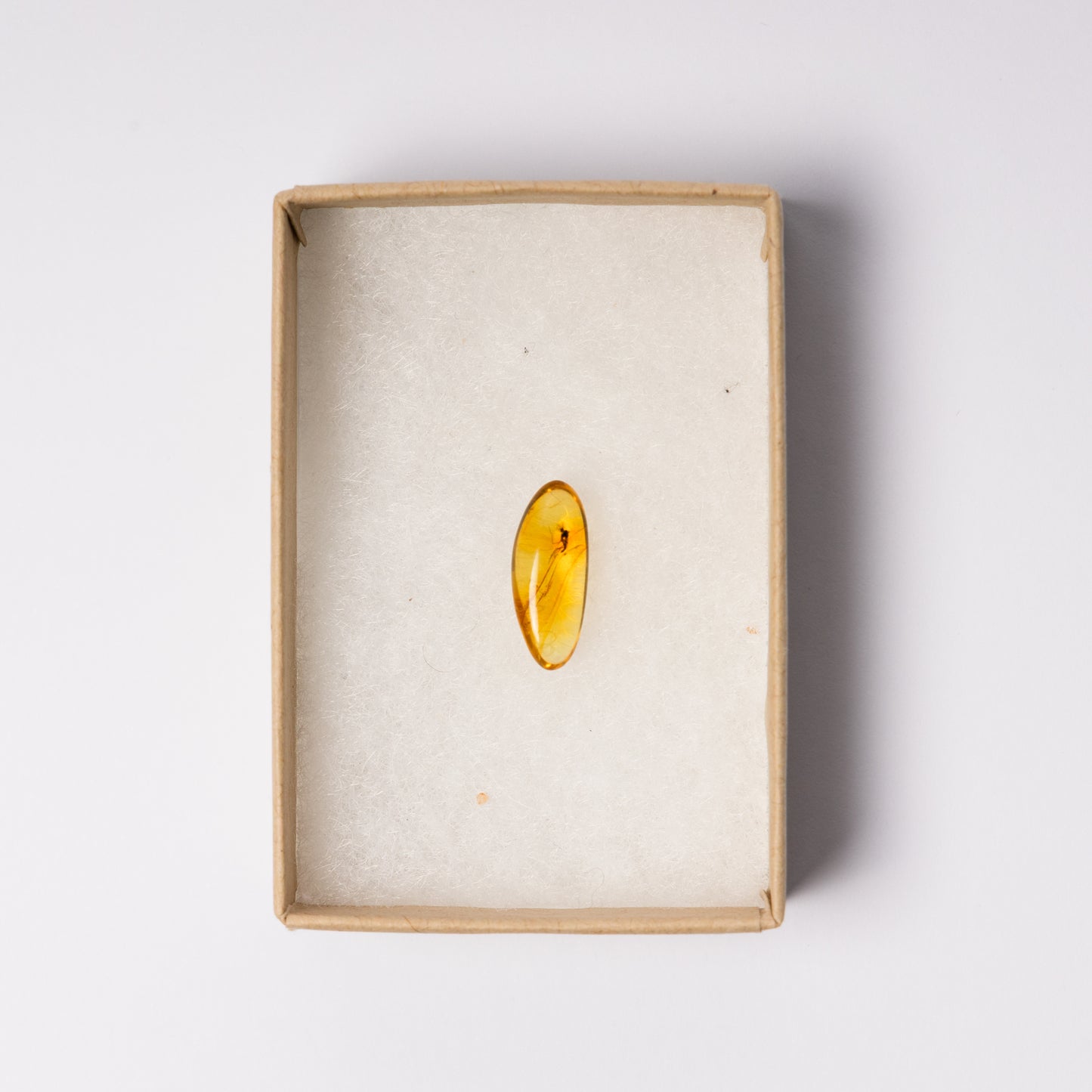 Baltic Amber with Insect Inclusion