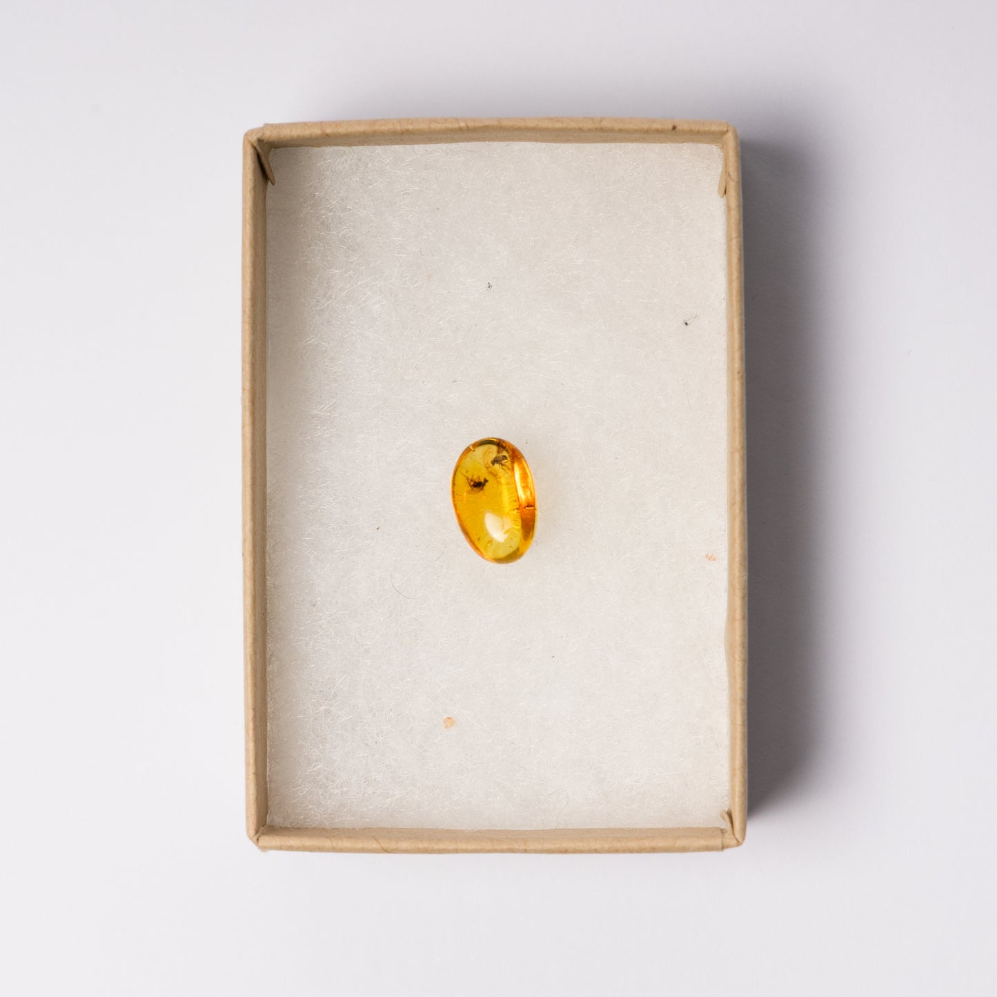 Baltic Amber with Insect Inclusion