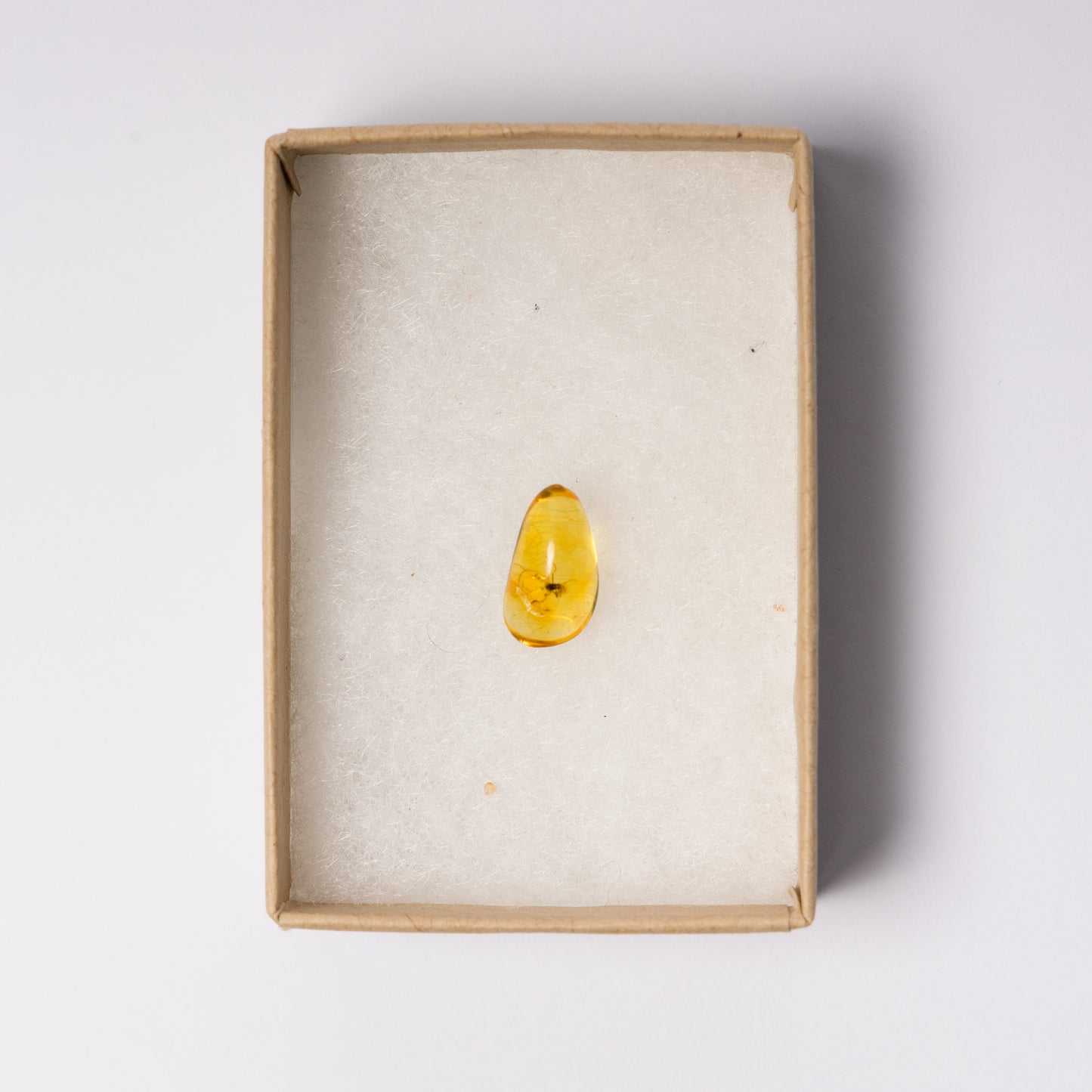 Baltic Amber with Insect Inclusion