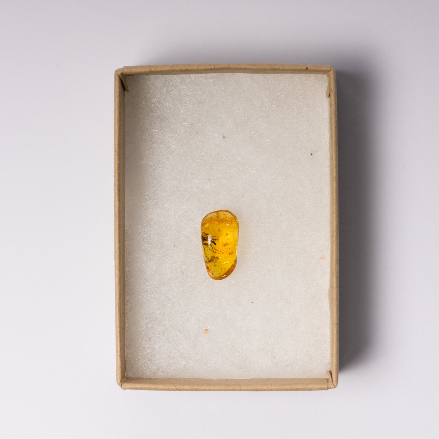 Baltic Amber with Insect Inclusion
