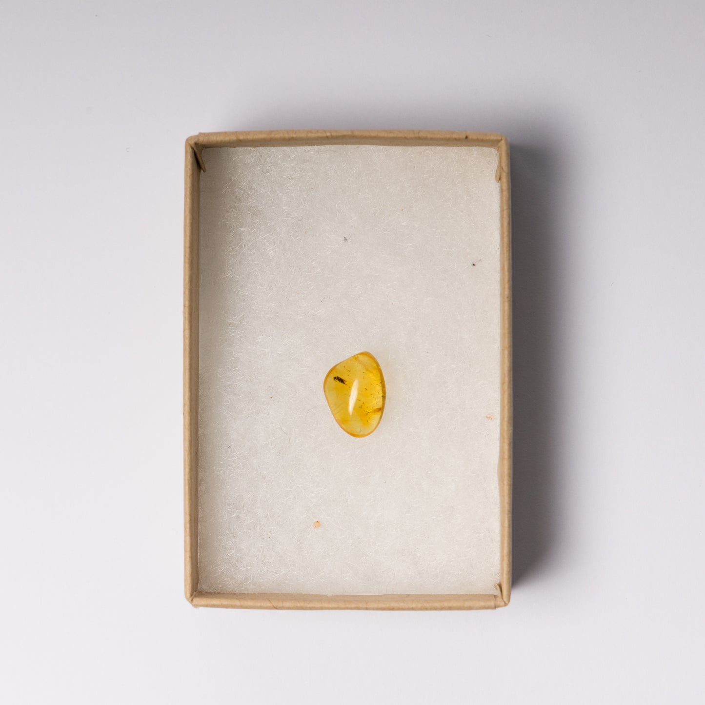 Baltic Amber with Insect Inclusion