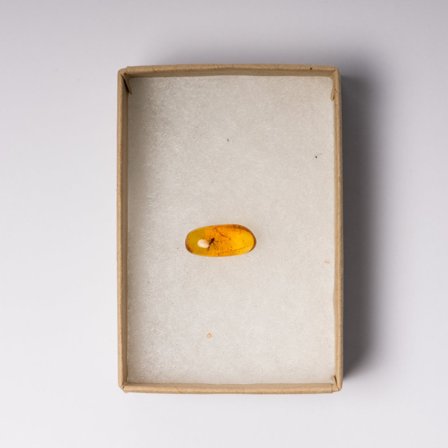 Baltic Amber with Insect Inclusion