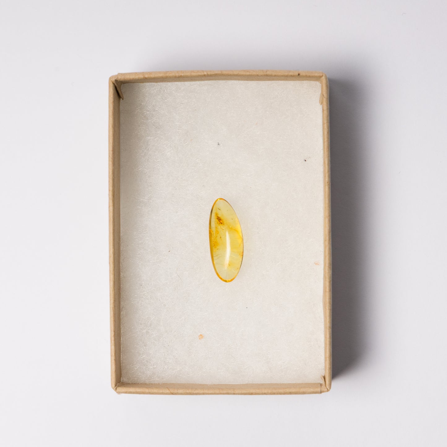 Baltic Amber with Insect Inclusion