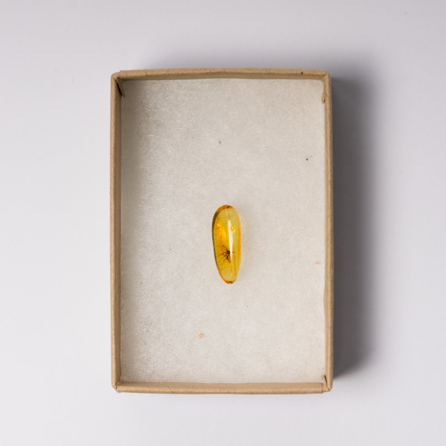 Baltic Amber with Insect Inclusion