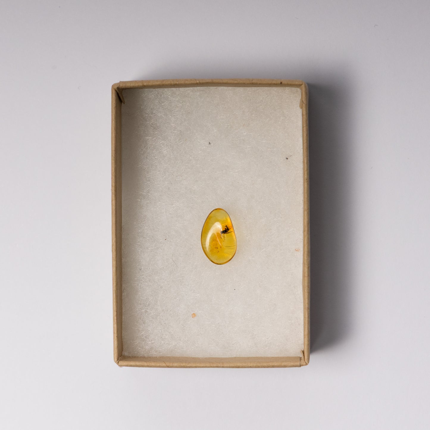 Baltic Amber with Insect Inclusion