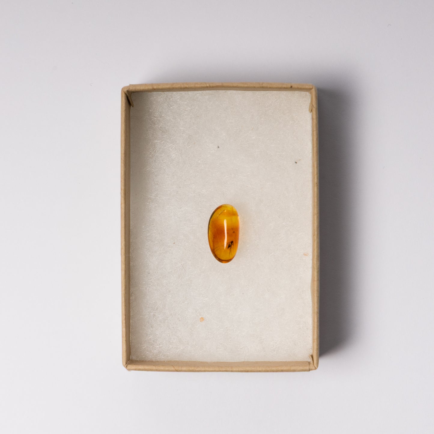 Baltic Amber with Insect Inclusion