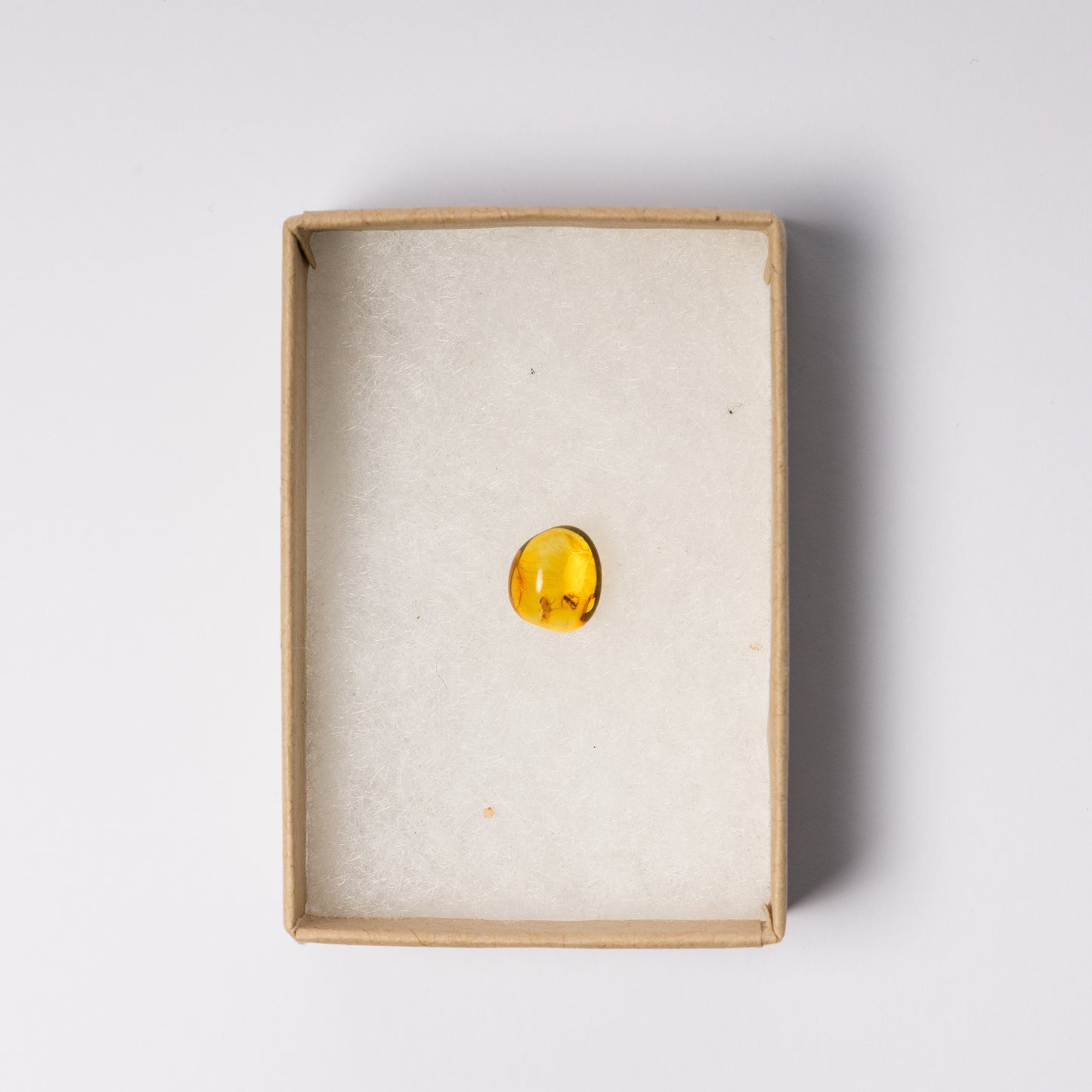 Baltic Amber with Insect Inclusion