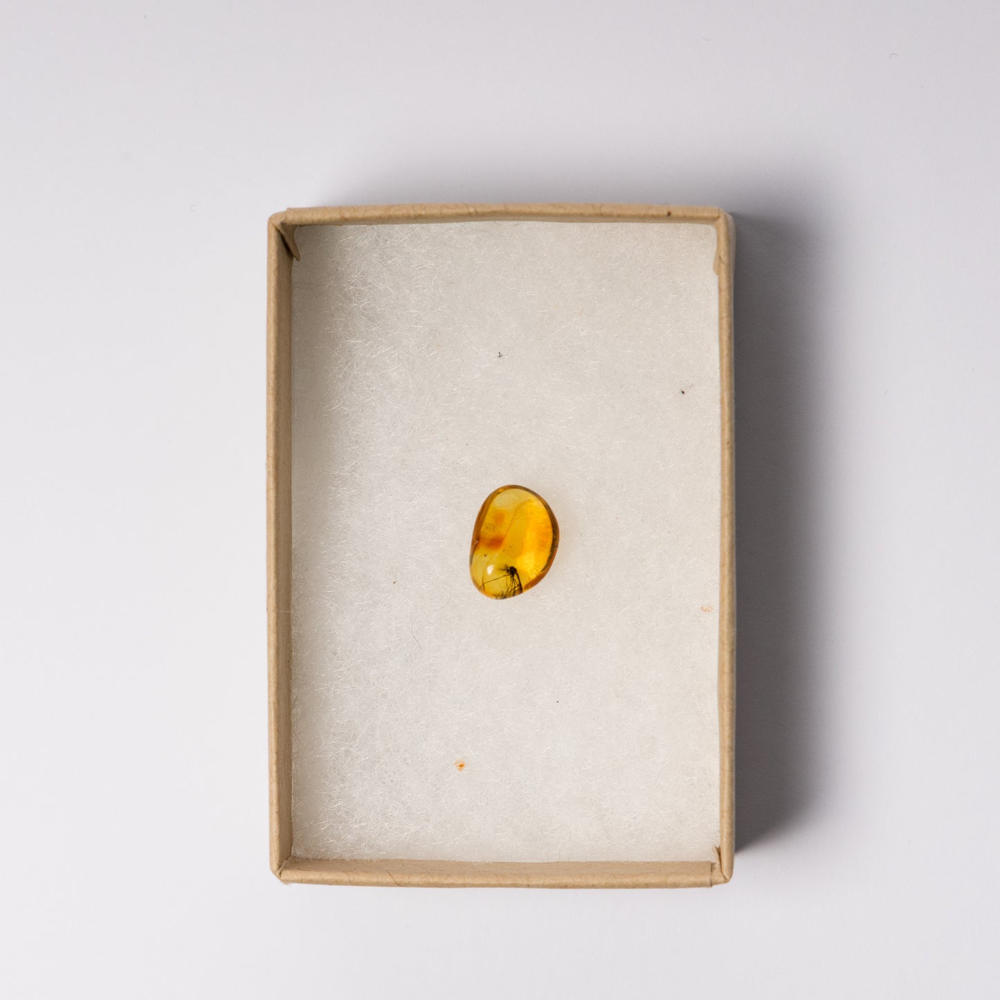 Baltic Amber with Insect Inclusion