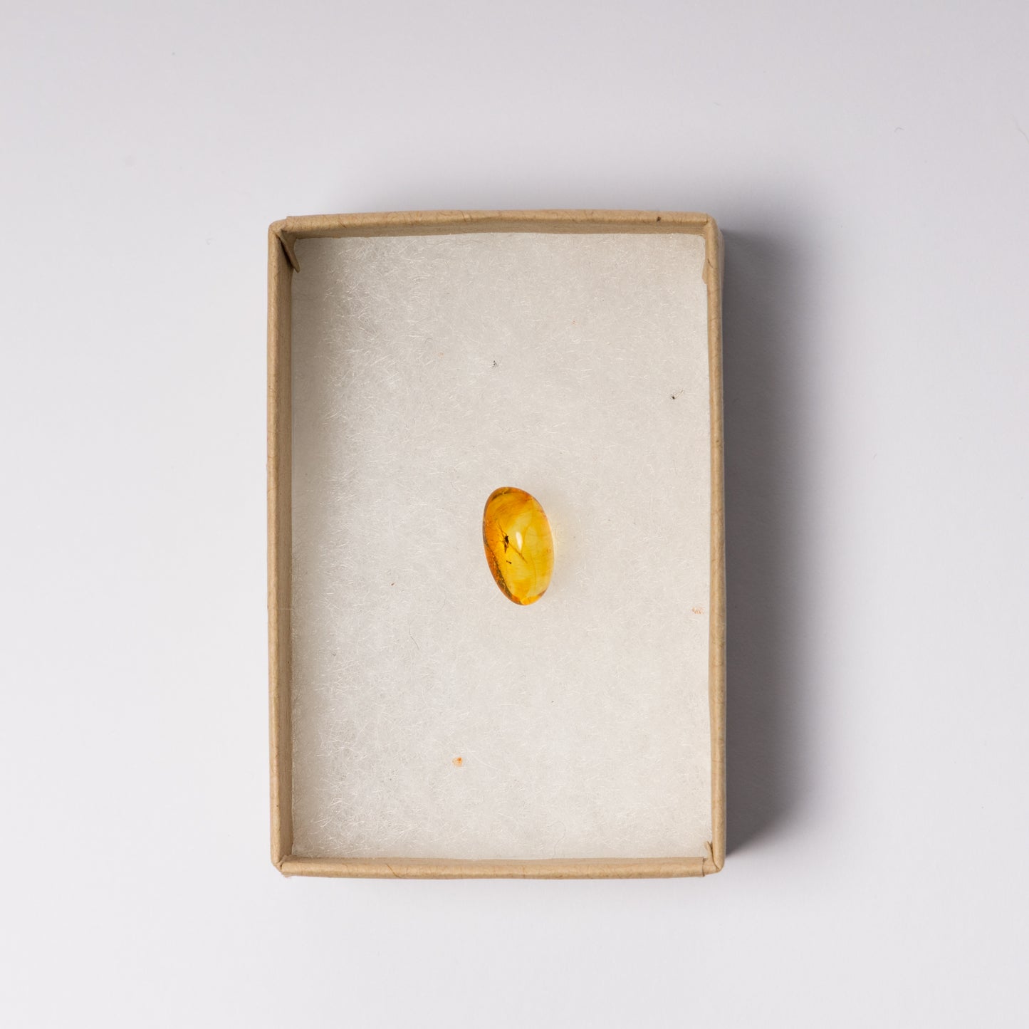 Baltic Amber with Insect Inclusion