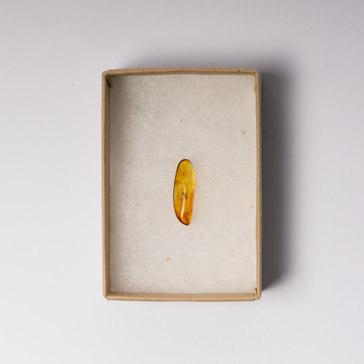 Baltic Amber with Insect Inclusion