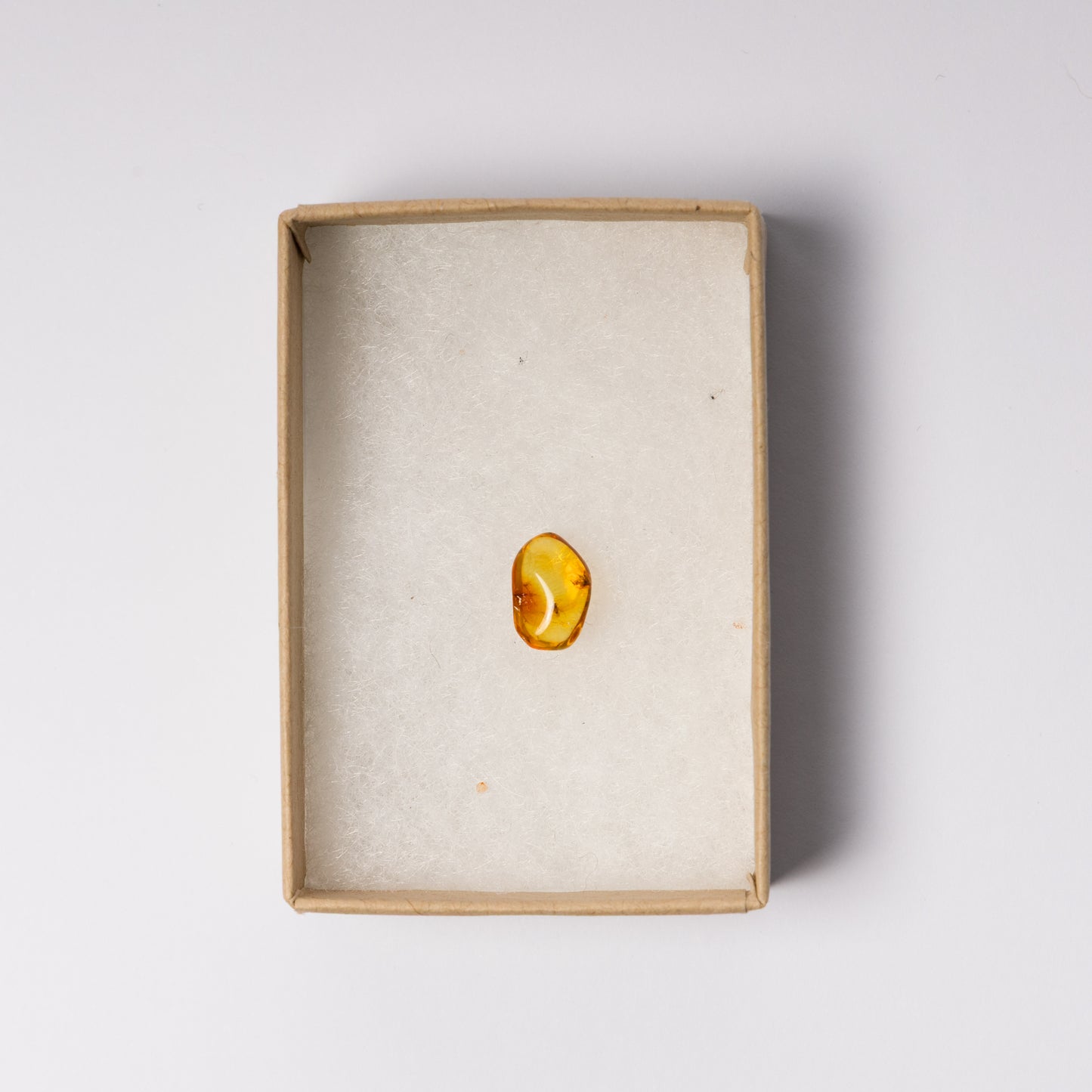 Baltic Amber with Insect Inclusion
