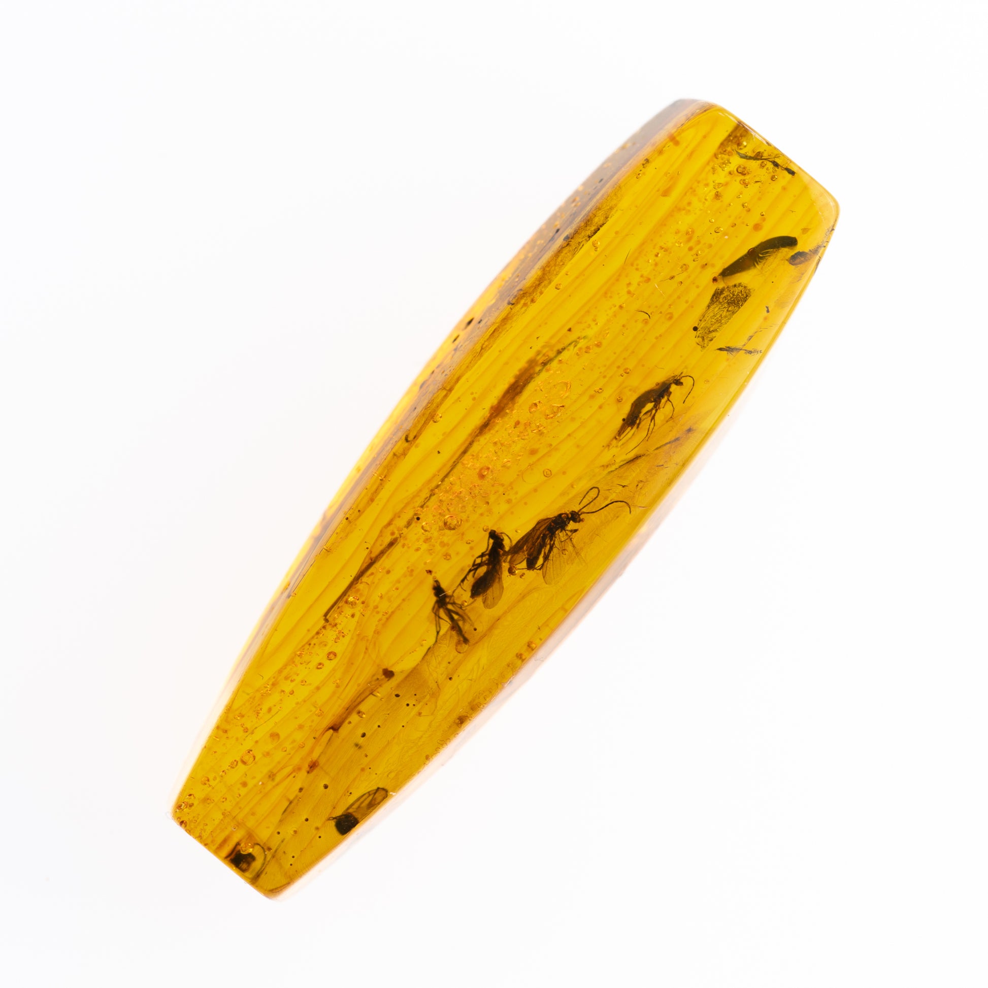 Block of amber with embedded insects on a white background